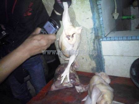 Ayam impor yang membusuk yang ditemukan petugas di gudang Beyam.