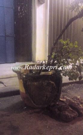 Pot bunga yang menjadi tanggungjawab Dinas Kebersihan, Pertamanan dan Pemakaman Kota Tanjungpinang yang tidak dirawat