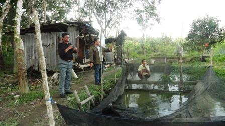 Humaidi, ketua RT di Se Jati, Bintan Timur ketika dijumpai media ini di kolam ikannya, Kamis 22 Agustus 2913. (foto by aliasar, radarkepri.com)