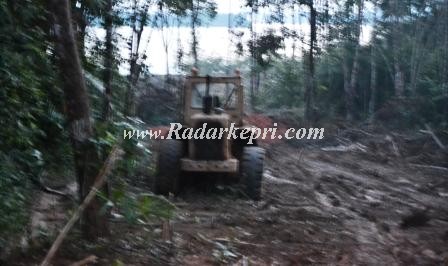 Eksavator yang sedang membabat hutan bakau di lokasi hutan lindung.