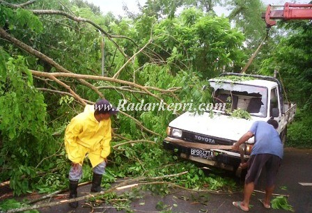 Mobil yang ditimpa pohon di Jl Rawasari, Senin, 25 November 2013.
