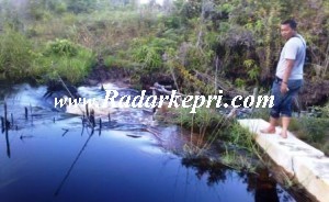 Proyek air bersih di Tanjung Gantung, pulau Sebangka kecamatan Senayang, kabupaten Lingga,