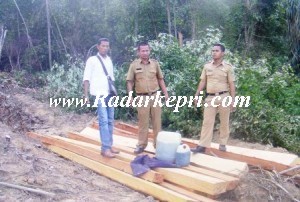 Petugas KP2K Batam menemukan kayu yang dibabat di Hutan Lindung Dam Muka Kuning.