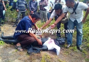 Rekonstruksi pembunuhan Novita Sari, ternyata setelah korban tewas baru diperkosa oleh tersangka Afan.