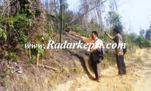 Radar Kepri bersama ketua LSM LAKI 45 Batam ketika investigasi ke hutan lindung Bukit Mansang yang dibabat