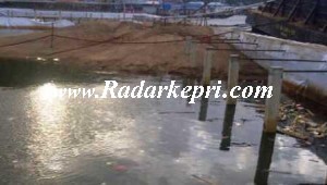 Inilah tiang pancang megaproyek water front city di Anambas senilai Rp 40 juta satu tiang.