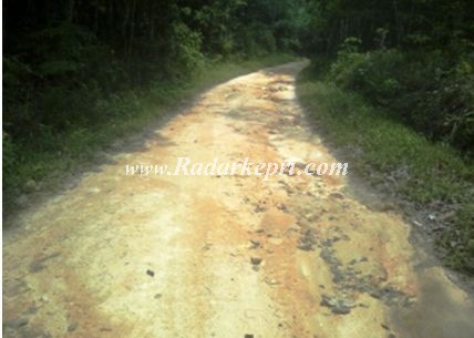 Beginilah kondisi jalan do Teluk Radang, Kecamatan Kuncur Utara tahun 2013 lalu dengan nilai Rp 10 Miliar.