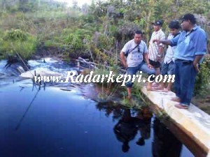 Inilah bendungan air senilai-Rp 7,8 M di-Senayang. Hingga saat ini pengolahan air ini belum memberikan kontribusi.