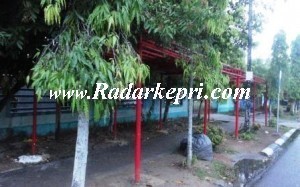 Proyek taman bunga yang tak berbunga oleh dinas Kebersihan, pertamanan dan pemakaman Kota Tanjungpinang di Jl Raja Ali Haji.