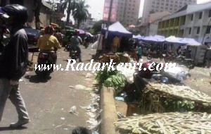 Tumpukan sampah di kawasan Apava, Jodoh, Batam