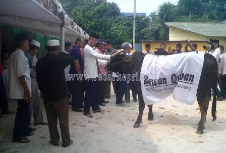 Wakil Walikota Tanjungpinang, H Syahrul S Pd menyerahkan sapi Qurban ke pengurus Masjid Agung Al-Hikmah