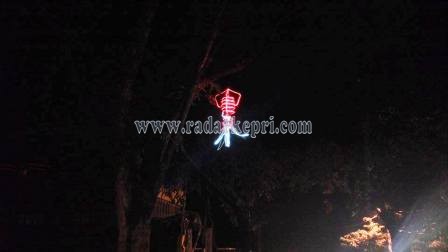 Lampu hias yang digantung di pohon pada tepi jalan di kotaTanjungpinang.