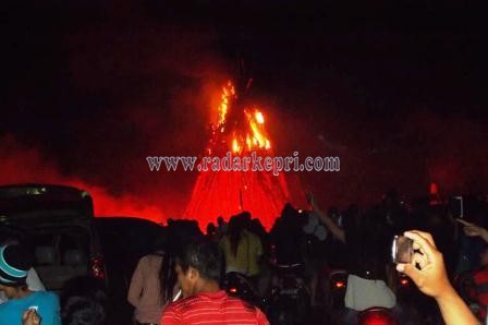 Api Unggun setinggi 5 meter di area Rimba Jaya sampena menyambut tahun baru 2015