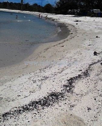 Limbah yang berserakan di Pantai Trikora III, Kabupaten Bintan, Minggu (26/04)