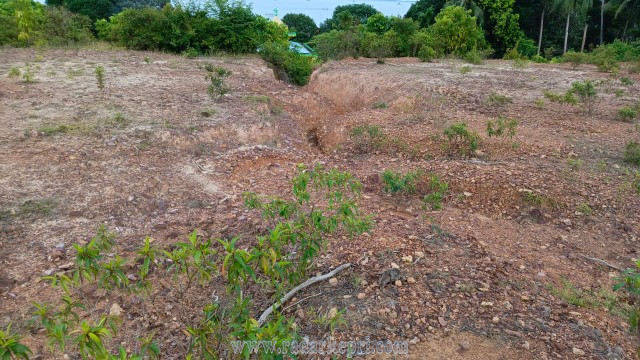 IMG-20251026-WA0101_copy_640x360