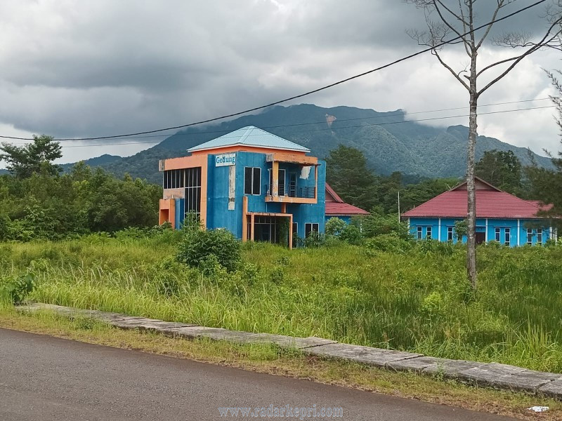 IMG-20251028-WA0007_copy_800x600