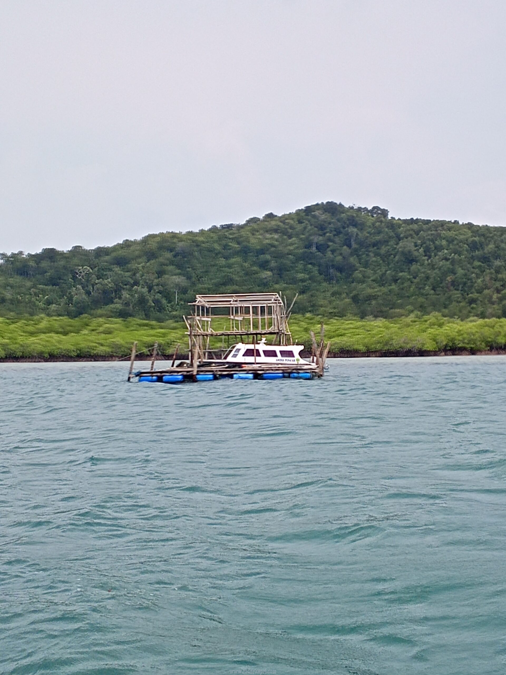 IMG-20260818-WA0004